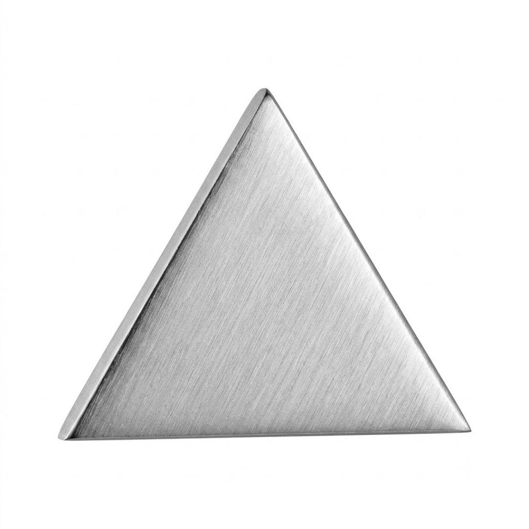 Brushed Stainless Steel Triangular Earring